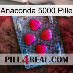 Anaconda 5000 Pill 13